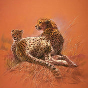 pgm rca 59 renato casaro cheetah mother stampa artistica 50x50cm | Yourdecoration.it