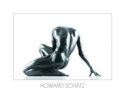 pgm sch 07 howard schatz asthetik stampa artistica 80x60cm 25340540 7ae4 4530 b167 c4583ac87971 | Yourdecoration.it