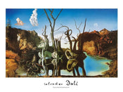 pgm sd 01 salvador dali reflections of elephants stampa artistica 80x60cm 0ab06b01 474b 4bba b564 f359aa70b67b | Yourdecoration.it