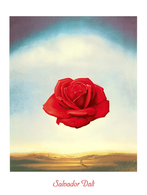 pgm sd 819 salvador dali rose meditative stampa artistica 60x80cm 75b05f9b 7a03 4551 88e9 05a20a8f814f | Yourdecoration.it