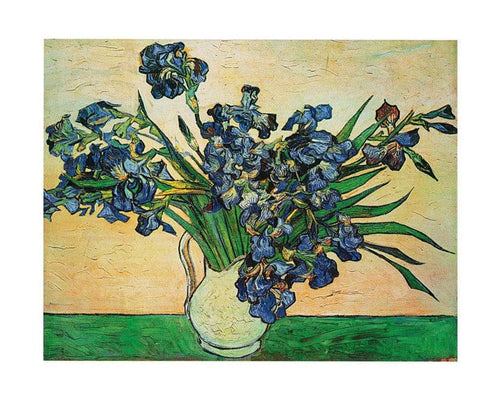 pgm vv 458 vincent van gogh iris strauss 1890 stampa artistica 50x40cm f8267a60 a067 4934 879d c2cb4800cc6f | Yourdecoration.it