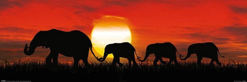 Pyramid Sunset Elephants Poster 91,5x30,5cm | Yourdecoration.it