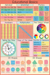 Pyramid Educational Basics Poster 61x91,5cm | Yourdecoration.it