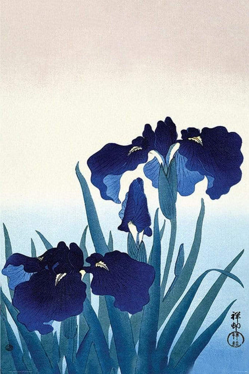 Pyramid Ohara Koson Iris Flowers Poster 61x91,5cm | Yourdecoration.it