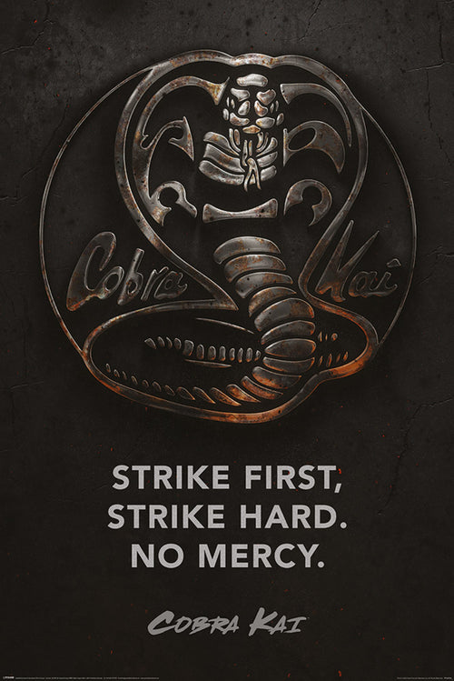 Pyramid PP34736 Cobra Kai Metal Poster | Yourdecoration.it