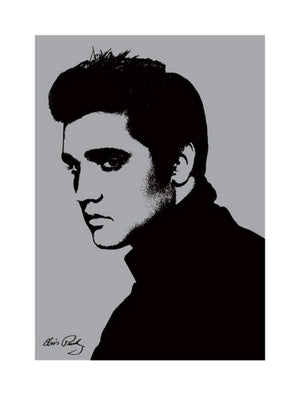 pyramid ppr40115 elvis presley metallic stampa artistica 60x80cm | Yourdecoration.it