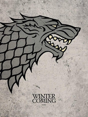 pyramid ppr40486 game of thrones stark stampa artistica 60x80cm | Yourdecoration.it