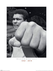 pyramid ppr40825 muhammad ali commemorative punch stampa artistica 60x80cm | Yourdecoration.it