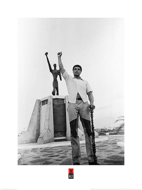 pyramid ppr40834 muhammad ali black power salute stampa artistica 60x80cm | Yourdecoration.it