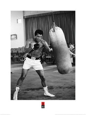 pyramid ppr40839 muhammad ali punch bag stampa artistica 60x80cm | Yourdecoration.it