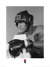 pyramid ppr40841 muhammad ali training stampa artistica 60x80cm | Yourdecoration.it