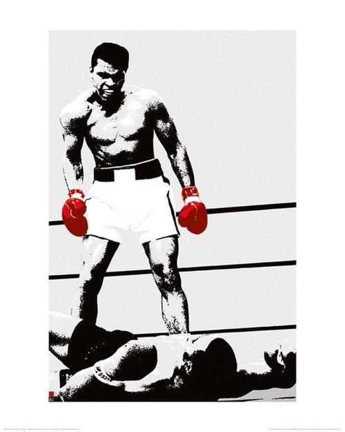 pyramid ppr43011 muhammad ali gloves stampa artistica 40x50cm 7cfcbffa c8a0 4f65 9eff 6c33c09694f0 | Yourdecoration.it