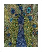 pyramid ppr43126 valentina ramos the peacock stampa artistica 40x50cm | Yourdecoration.it