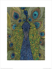 pyramid ppr44078 valentina ramos the peacock stampa artistica 30x40cm | Yourdecoration.it