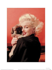 pyramid ppr44291 marilyn monroe love stampa artistica 30x40cm 0509d491 e1d9 4d47 b412 2f1ff2248288 | Yourdecoration.it