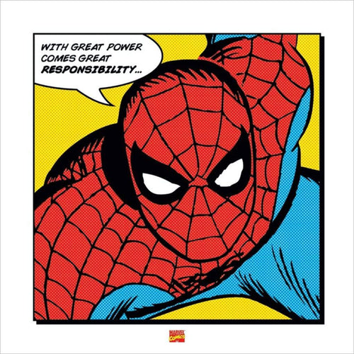 pyramid ppr45257 spider man with great power stampa artistica 40x40cm | Yourdecoration.it