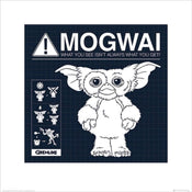 pyramid ppr45522 gremlins mogwai rules stampa artistica 40x40cm | Yourdecoration.it