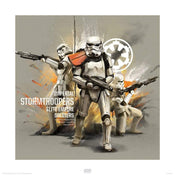 pyramid ppr45665 star wars rogue one stormtroopers profile stampa artistica 40x40cm | Yourdecoration.it