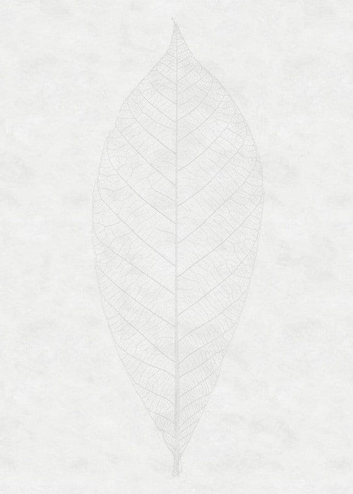 R2 012 Komar Decent Leaf Carta Da Parati In Tessuto Non Tessuto 200X280cm 2 Strisce_A4F06F99 8Ce9 4D44 8Fcc 2Bb4B9E7C886 | Yourdecoration.it