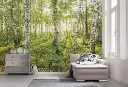 Sh043 Vd4 Komar Birch Trees Carta Da Parati In Tessuto Non Tessuto 400X250cm 4 Strisce Ambiente | Yourdecoration.it