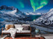 Sh058 Vd4 Komar I Love Norway Carta Da Parati In Tessuto Non Tessuto 400X250cm 4 Strisce Ambiente | Yourdecoration.it