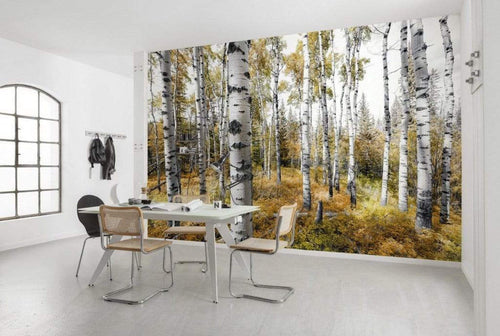 Shx9 015 Komar Colorful Aspenwoods Carta Da Parati In Tessuto Non Tessuto 450X280cm 9 Strisce Ambiente_E2F207C2 5206 4D9D B3B2 014B10Acae3C | Yourdecoration.it