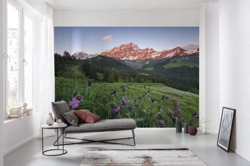 Shx9 069 Komar Picturesque Switzerland Carta Da Parati In Tessuto Non Tessuto 450X280cm 9 Strisce Ambiente_C72F495C D800 4D44 9Ea9 42A4Fbadd24C | Yourdecoration.it