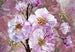 Xxl4 064 Komar Blooming Gems Carta Da Parati In Tessuto Non Tessuto 368X_75955Bab 14C7 48A0 8654 7Bbee1Ed626E | Yourdecoration.it